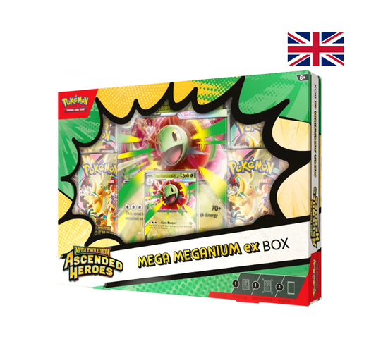 Ascended Heroes Mega Meganium ex Box inglés